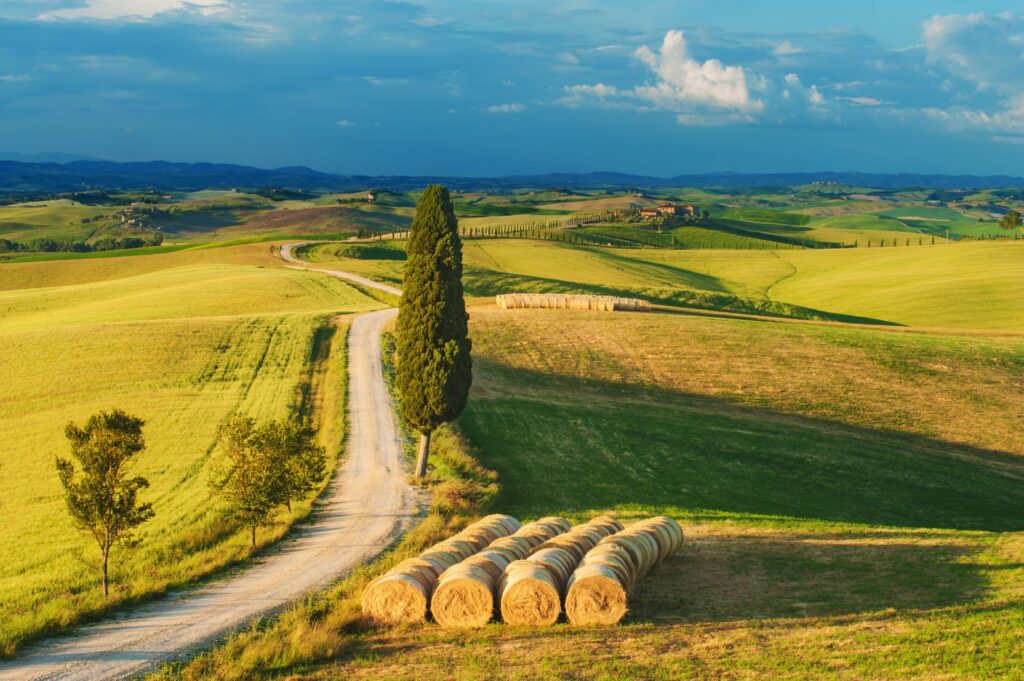 Tuscany escorted tour