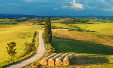 Tuscany escorted tour