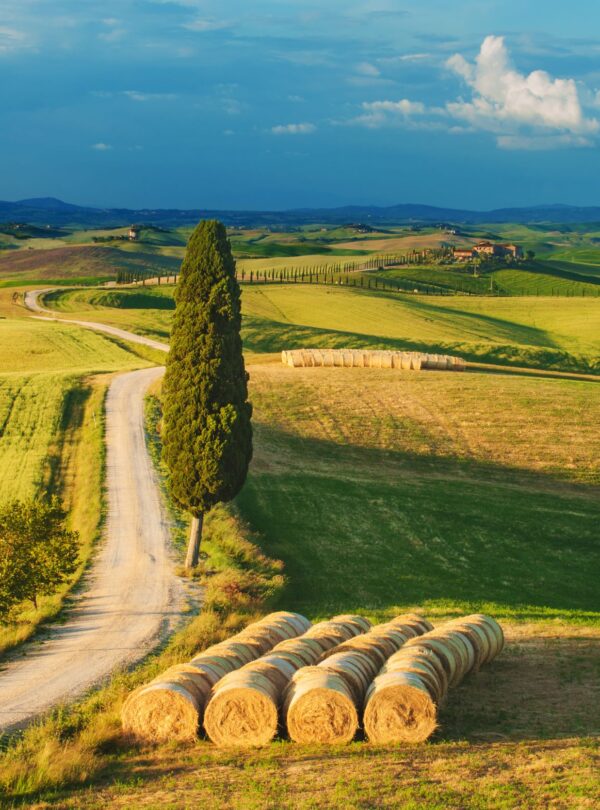 Tuscany escorted tour