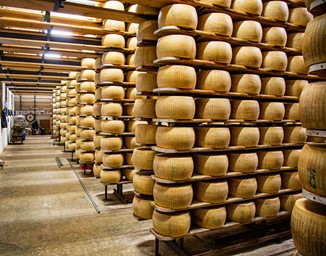 parmesan cheese, parmesan factory, italian cheese, lactose free italian food