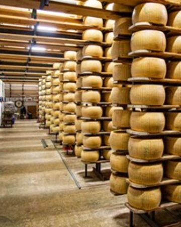 Cheese Factory