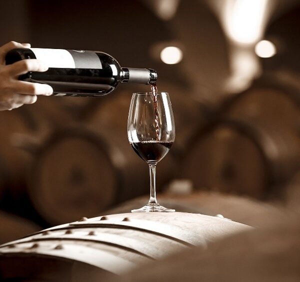 wine tasting, wine experience, local wine, tuscan wine,